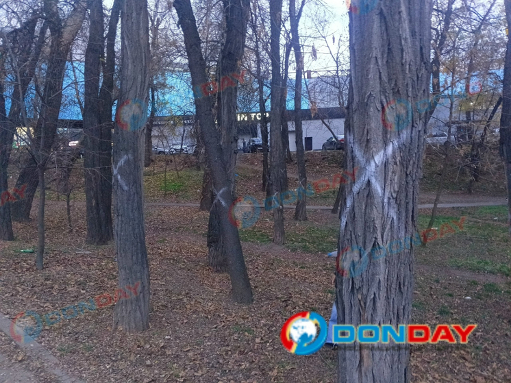 Десятки деревьев вырубят в Ростове на Киргизской