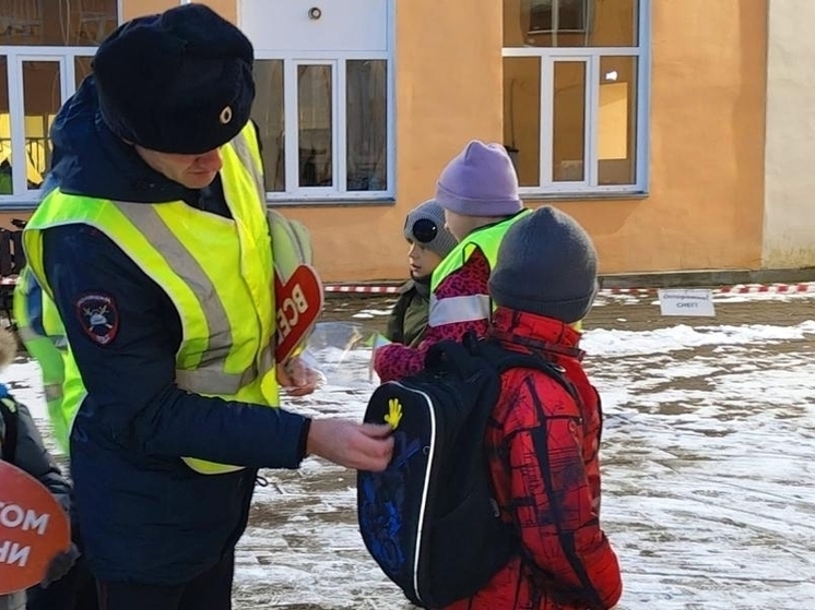 Новгородские школьники изучили принцип «Безопасность в отражении»