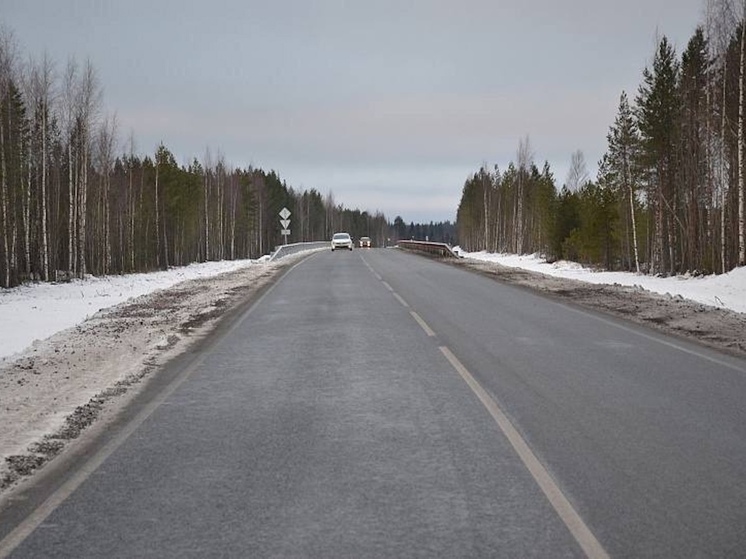 Строительство автодороги Онега – Покровское одобрила госэкспертиза
