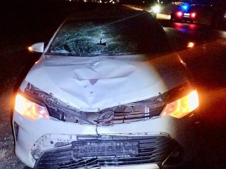 Неустановленный пешеход погиб на дороге возле Кургана