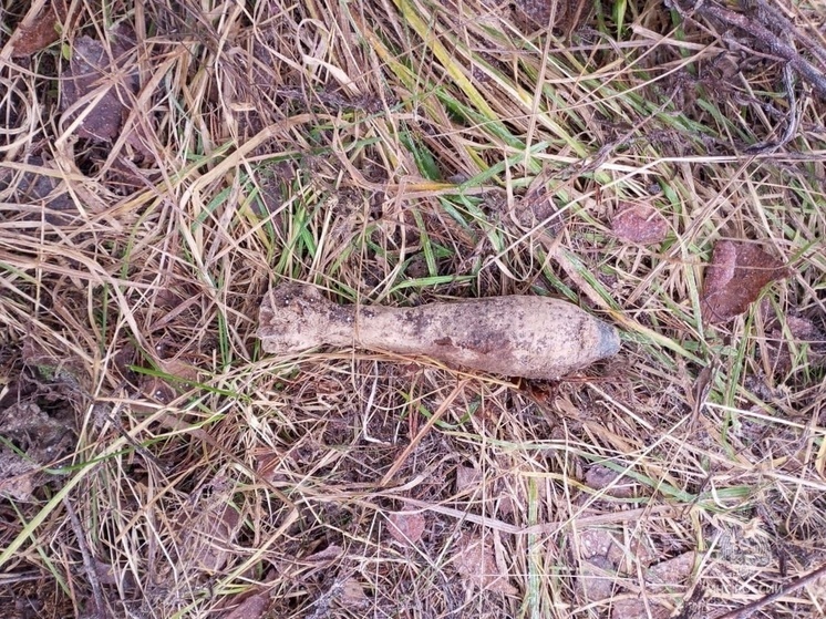 Брянские спасатели обезвредили минометную мину времен ВОВ в Рогнединском районе