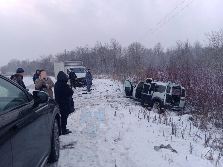 Трое детей пострадали сегодня в ДТП возле поселка Назия