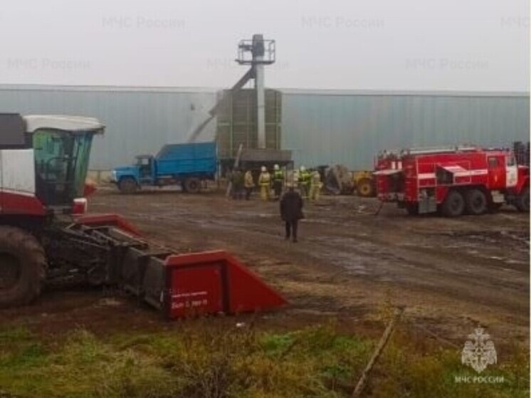В Орловской области при пожаре повреждены семена подсолнечника на площади 25 квадратных метров
