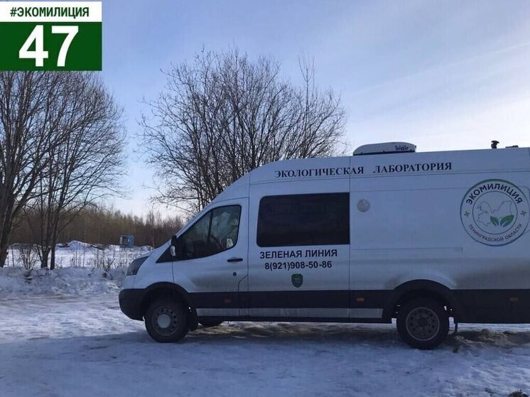 В Янино снова пахло чем-то то ли жареным, то ли химическим