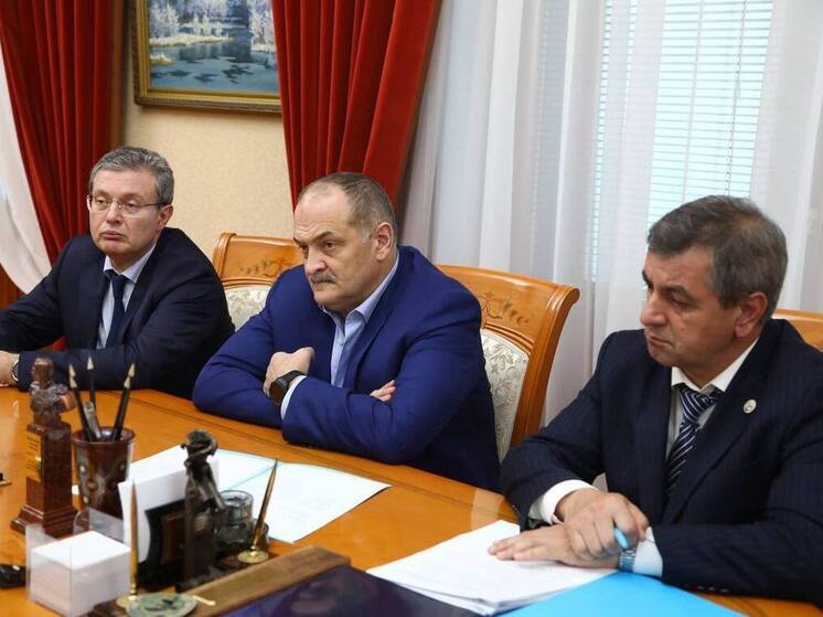 Меликов и помощник Мишустина обсудили реализацию федеральных проектов в Дагестане