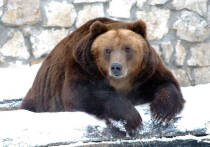 Страшное происшествие потрясло Канаду