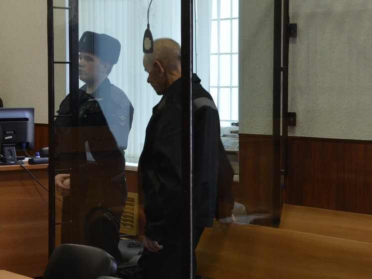 Пензенец приговорен к 13 годам колонии за убийство 91-летней матери