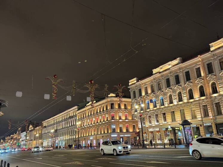 Петербуржцы не смогли разглядеть новогодние украшения без подсветки