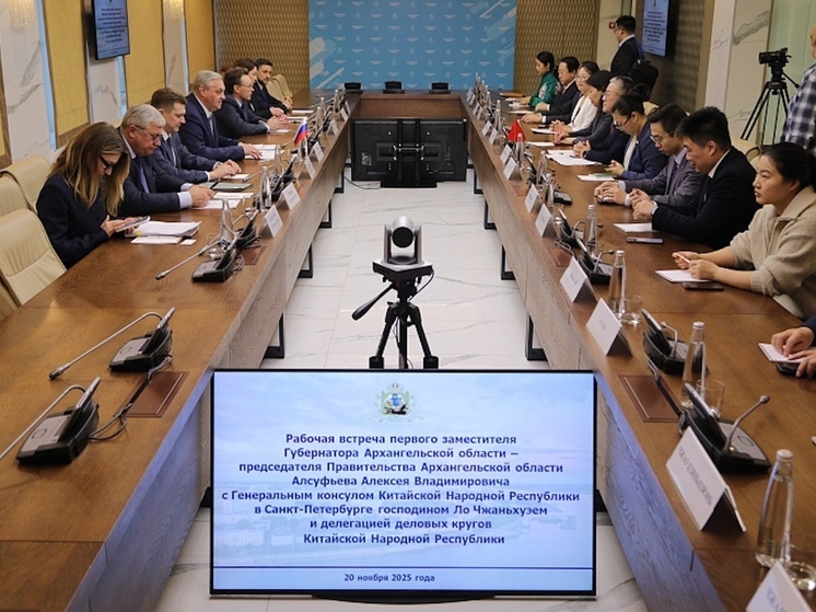 В Архангельске состоялась встреча председателя регионального правительства Алексея Алсуфьева с делегацией КНР во главе с генеральным консулом в Санкт-Петербурге Ло Чжаньхуэем
