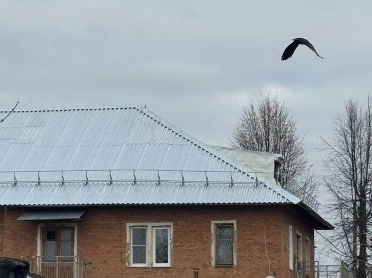 В Новомосковске в 2025 году отремонтировали более 45 крыш