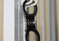 Сотрудники ГСУ СКР по Московской области продолжают следственные действия в СНТ «Звезда» Богородского городского округа, где загадочным образом пропали две девушки