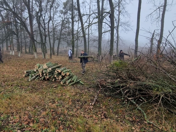 Еще 8 тонн древесины заготовлено в Борисовском округе на случай ЧС