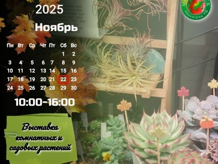 В Мичуринске открывается выставка комнатных и садовых растений