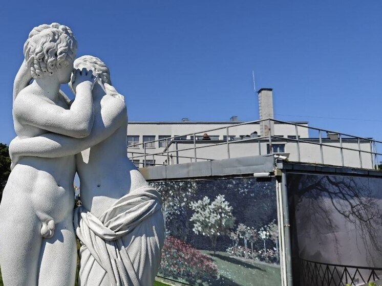 Новгородцам рассказали, что диванный образ жизни и стресс убивают мужчину в мужчине