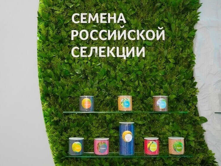 В России растет доля семян отечественной селекции