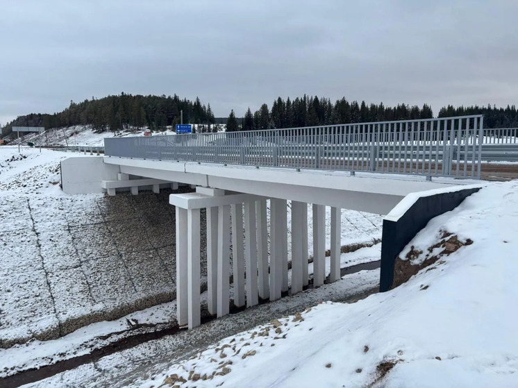 В Якутии в 2025 году отремонтировали четыре мостовых перехода