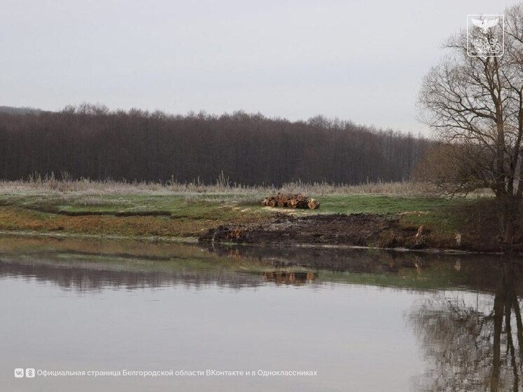В Чернянском округе очистили 2,8 км реки Нежеголь