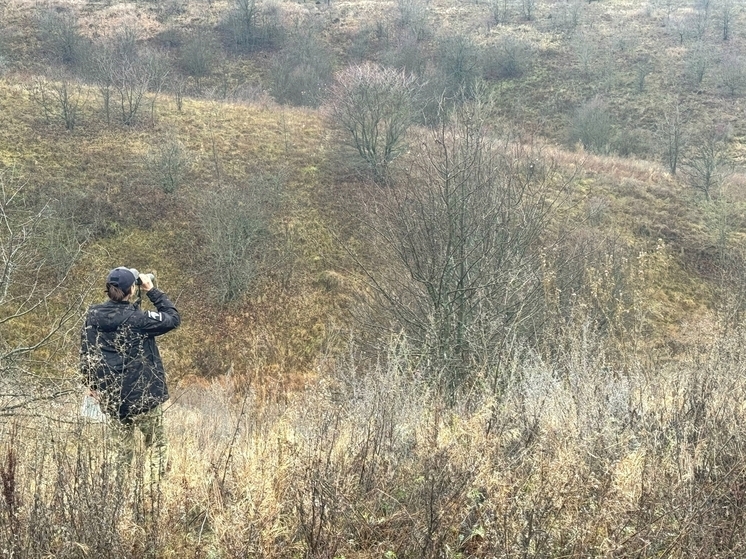 Центр охраны хищных птиц «Русский сокол» продолжает исследовать природу Тамбовской области