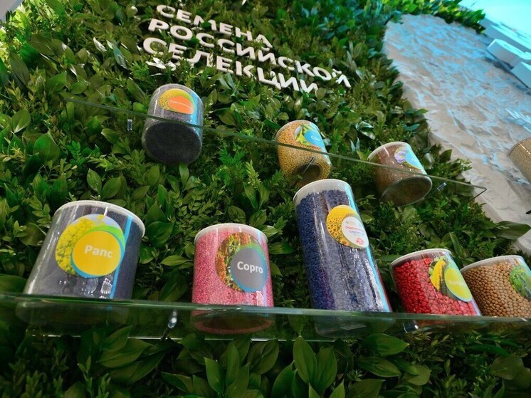«ФосАгро-Регион» наращивает поставки семян отечественной селекции