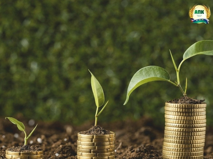 Аграриям Тюменской области предоставят финансовую поддержку для развития ягодного хозяйства