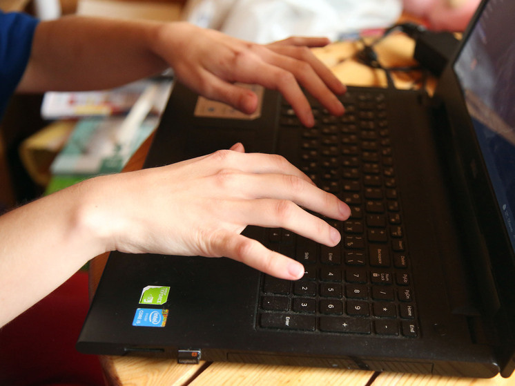 Прокуратура запретила сайты с информацией о приборе, позволяющем дальнобойщикам не платить за проезд