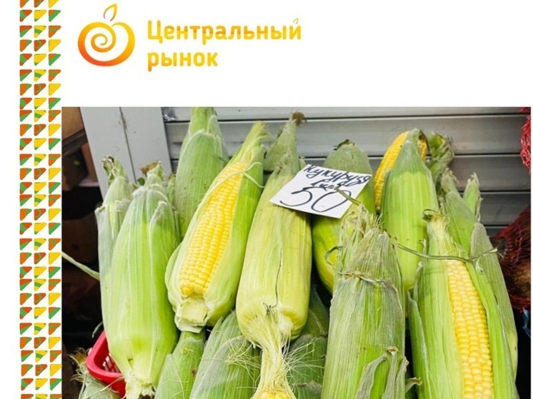 О способности кукурузы укреплять иммунитет заявили на «Новомосковском рынке»