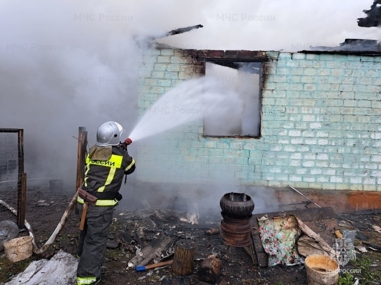В Орловской области при пожаре в жилом доме погибла женщина