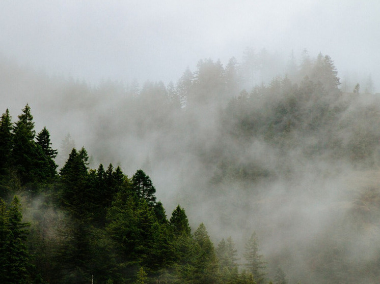 Херсонских водителей попросили быть внимательнее в условиях тумана