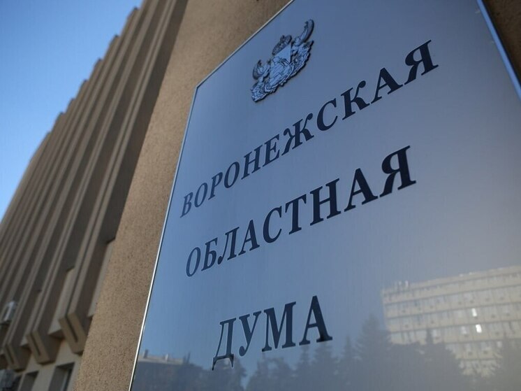 В Воронежской области продлили программу компенсаций за аренду жилья детям-сиротам