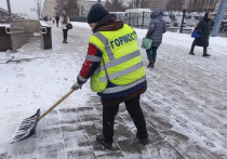 В Москву пришло настоящее «предзимье» со всеми вытекающими — так метеорологи называют переход от осени к зиме