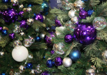 Далеко не все наши сограждане планируют наслаждаться самыми длинными за долгие годы новогодними праздниками