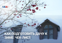 В воскресенье, 23 ноября, в 13:00 прошел  прямой эфир, где мы разобрали, как правильно уложить участок в зимнюю спячку, чтобы весной проснуться без потерь.