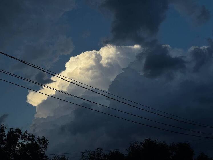 25 ноября 2025 года: какой сегодня праздник в России и мире