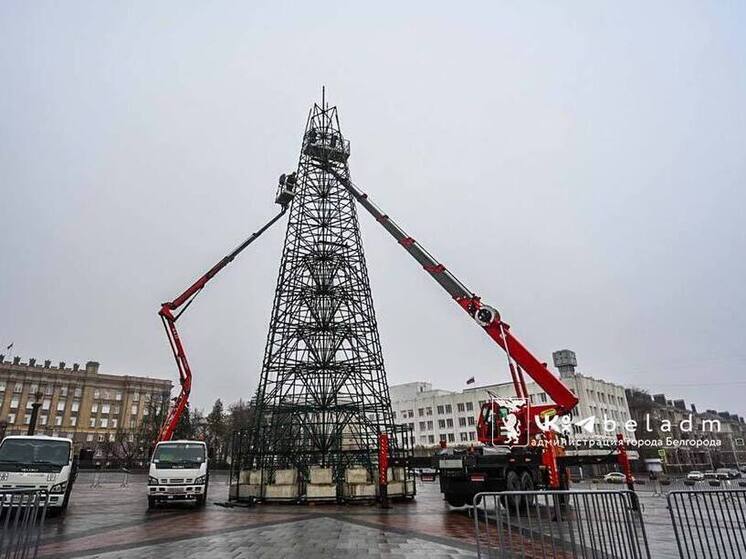 В Белгороде почти смонтировали металлический каркас новогодней ели