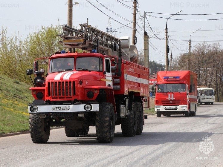 В Орле жители квартиры тушили свой диван