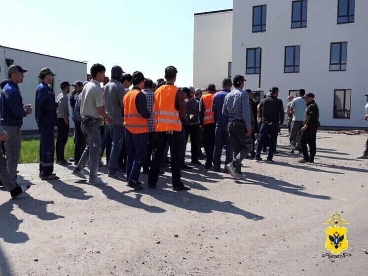 В Херсонской области выявили трех нарушителей миграционного законодательства