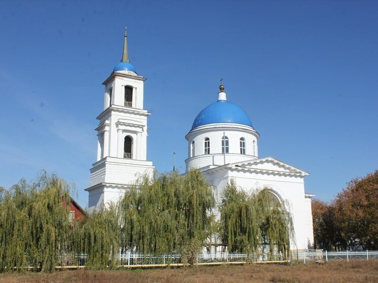 23 ноября 2025 года: какой сегодня праздник в России и мире