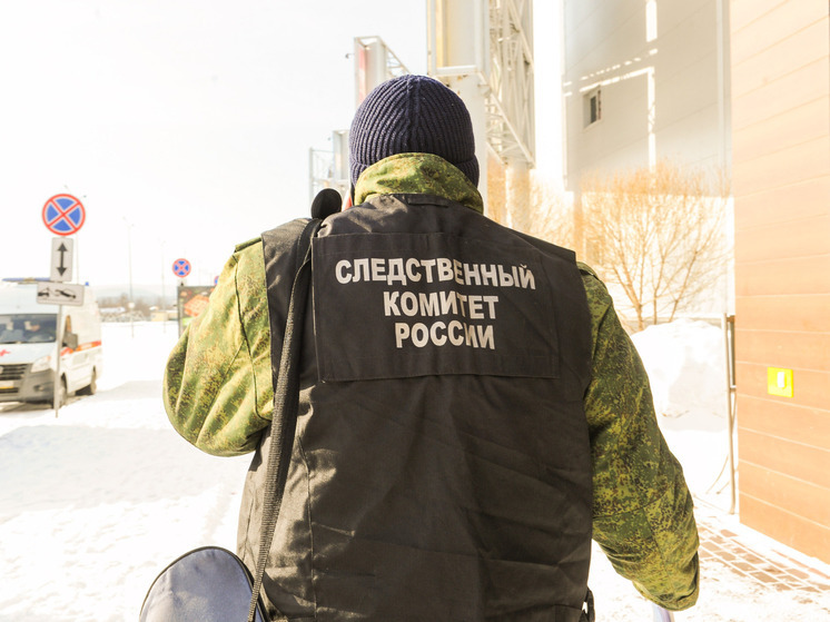 СК: в Нижнем Новгороде силовики накрыли подпольное казино, организованное двумя женщинами