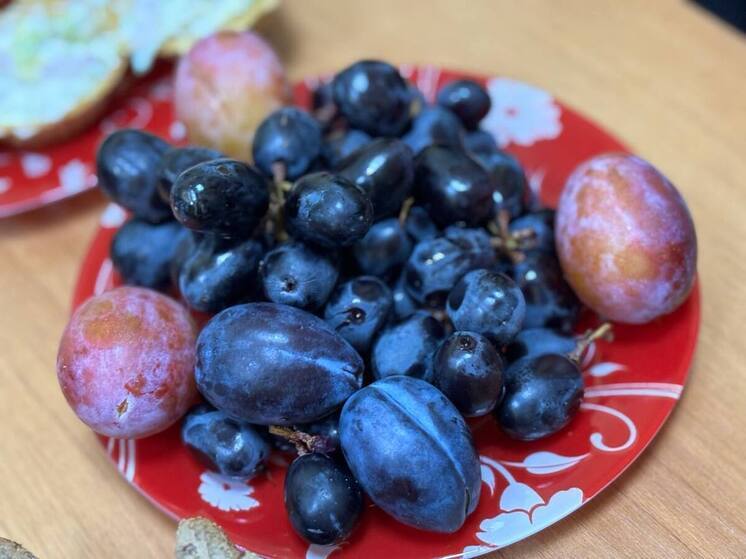 Специалист из Пензы рассказала о целесообразности приема пробиотиков с антибиотиками