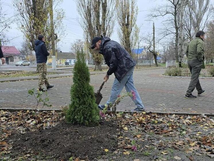 Специалисты Минприроды Дагестана посадили деревья в Михайловском районе