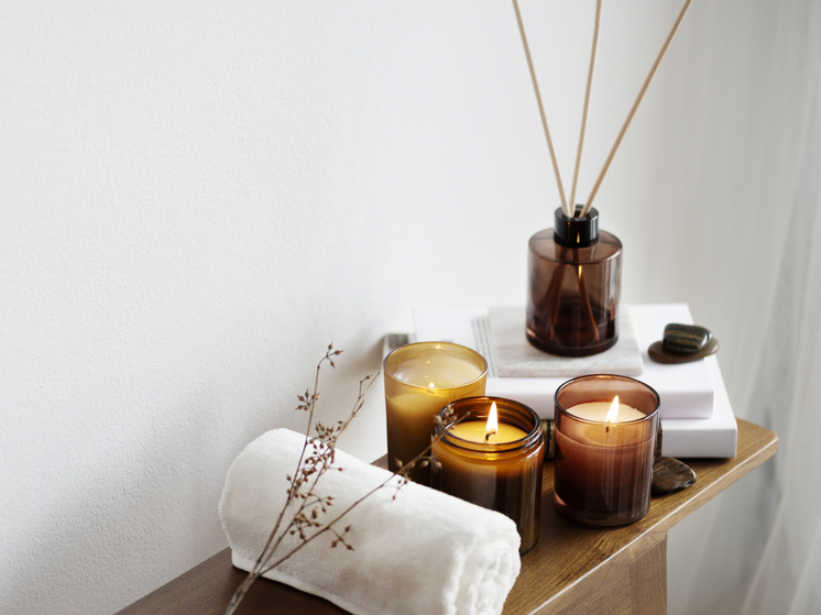 Пензенцев предупредили об опасности ароматических свечей для домашних животных