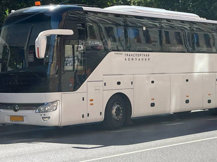 В Мурманской области в 2026 начнут проводить бесплатные экскурсии для жителей