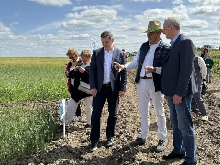 В Калужском  регионе создали уникальный гибрид озимого рапса