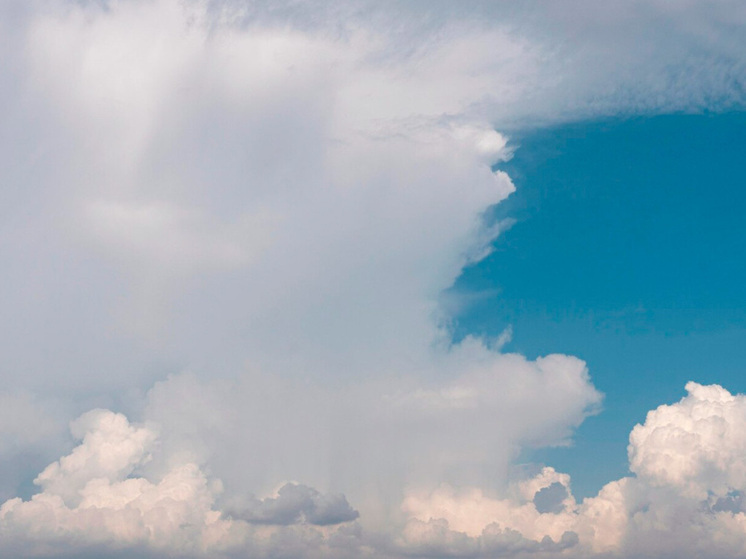 Липецкая область готовится к дождям и туману 22 ноября