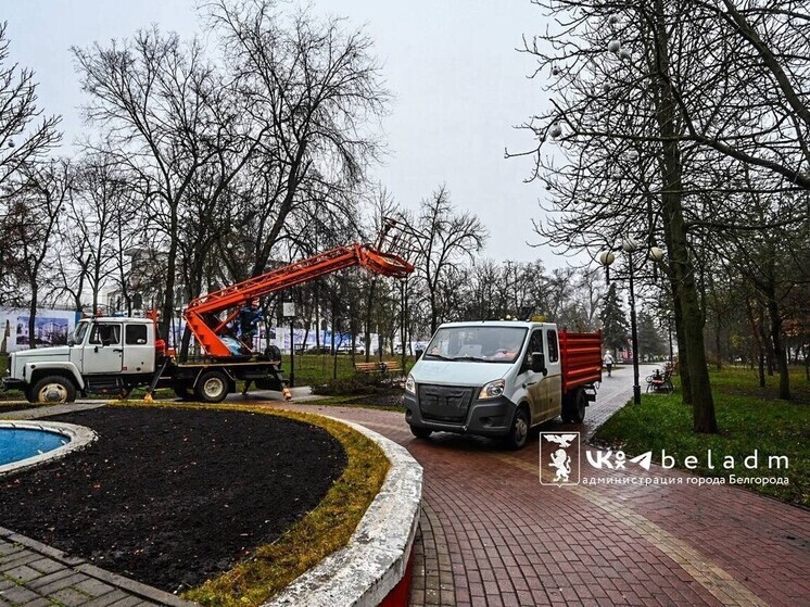 Зеленые легкие города: как Белгород готовится к весне