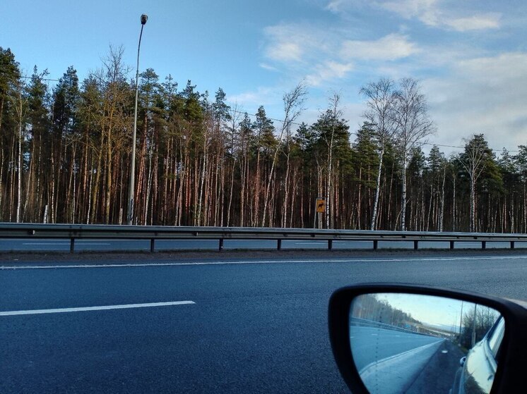 В России не за горами время, когда принимать экзамены на водительские права будет ИИ