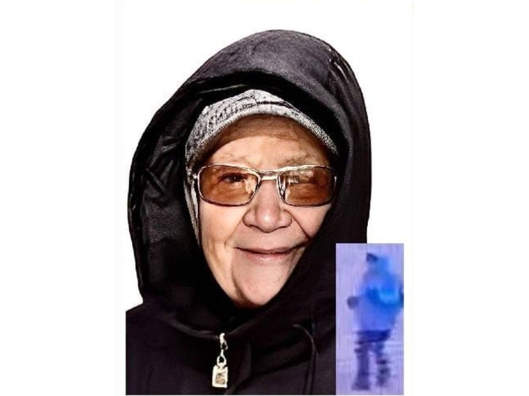 В Ростовской области для поисков пропавшей 91-летней бабушки ищут волонтеров