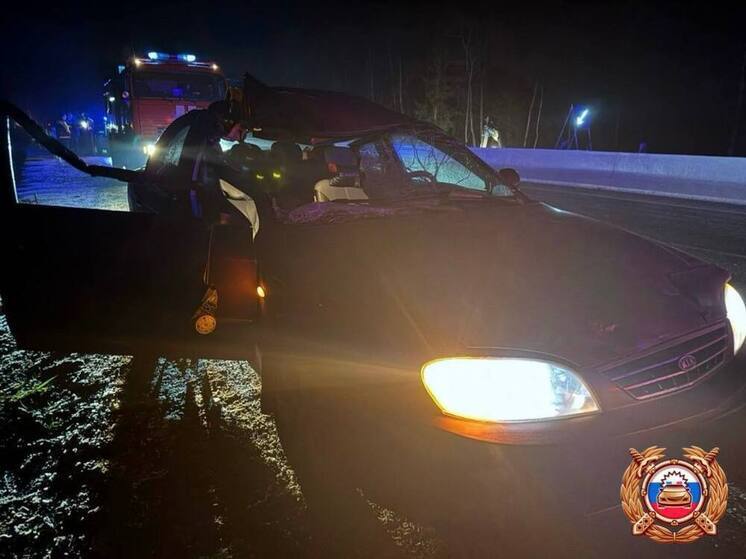 Иномарка сбила лося на трассе М-9 в Тверской области: пострадал человек