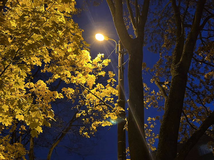 В Авангардном прокуратура начала проверку по факту отсутствия уличного освещения