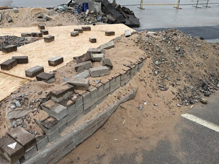 В Калининграде у зоопарка обновят тротуар за 20 млн